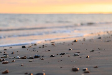 A seascape at sunset. A pink sky reflected on wet sand. A close-up of delicate sea foam and pink reflections on the water. Glints of light on wet pebbles.