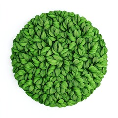 Circular, dense arrangement of green leaves, a textured, organic form, against a white background
