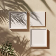 Three white square trays, some empty, cast shadows of palm leaves on a beige surface