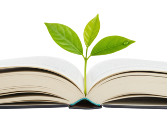 Open book with green plant isolated, symbol of knowledge and growth on transparent background