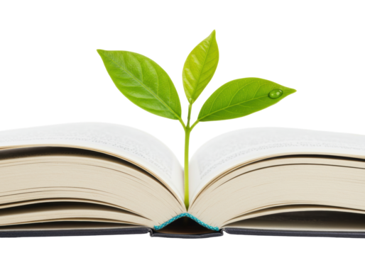Open book with green plant isolated, symbol of knowledge and growth on transparent background