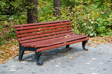 A Charming Wooden Park Bench That is Delightfully Surrounded by Lush Greenery and Beautiful Fallen Leaves, Creating a Perfect Spot for Enjoying the Lovely Autumntime Atmosphere All Day Long