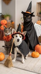 Group of pets in Halloween costumes. including a dog in a bat costume and a cat in a witch's hat.