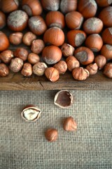 Fresh organic hazelnuts on burlap and wooden tray. Healthy natural snack, vegan food, and sustainable nutrition concept.
