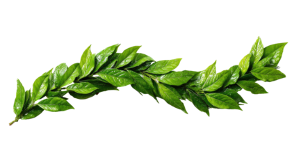 A vibrant green leaf garland
