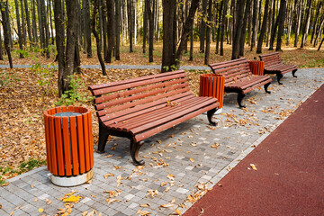 This enchanting park pathway boasts rustic benches and convenient bins, set against vibrant autumn foliage, making it a perfect spot for relaxation and leisure activities yearround