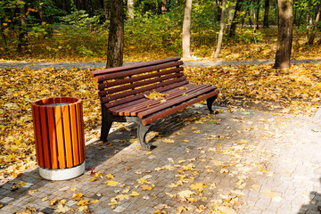 Autumn Serenity In a tranquil park setting, a solitary bench is enveloped by brilliant golden leaves, alongside a trash can, creating a unique ambiance that captures the essence of the fall season