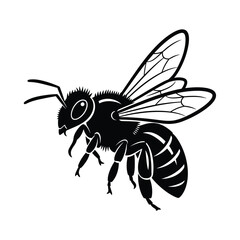 Black bee illustration insect white