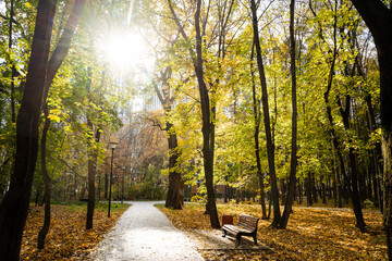 A serene and picturesque autumn park pathway, where warm sunlight gently filters through the vibrant and colorful fall foliage, creating a calm and peaceful atmosphere for leisurely strolls