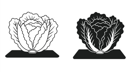 Two contrasting cabbage heads one light and one dark on stands