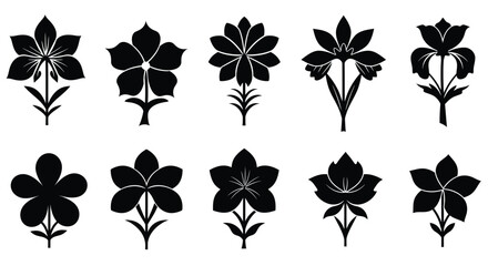 Black floral silhouettes displaying various blossom shapes and botanical designs