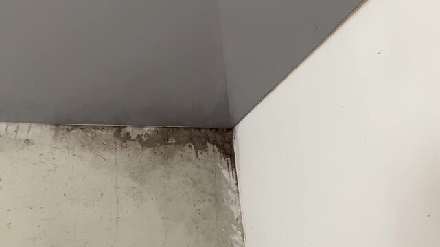 Water damage black causing mold growth on the interior walls of the property and in the attic