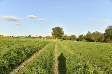 Mon ombre sur le chemin d'une prairie à Ghislenghien (Ath)