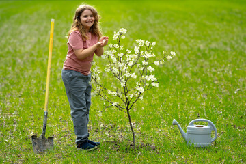 Kid plant and watering tree in the garden. Spring activity of plant trees. Kid work with shovel and...