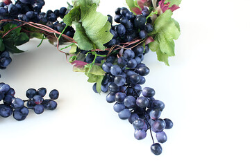 vine, an ripe