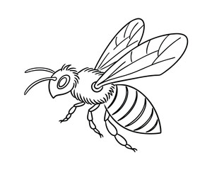 Detailed Outline Illustration of a Honey Bee Flying on White Background for Educational Purposes and Creative Projects