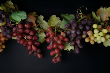 vine, an ripe