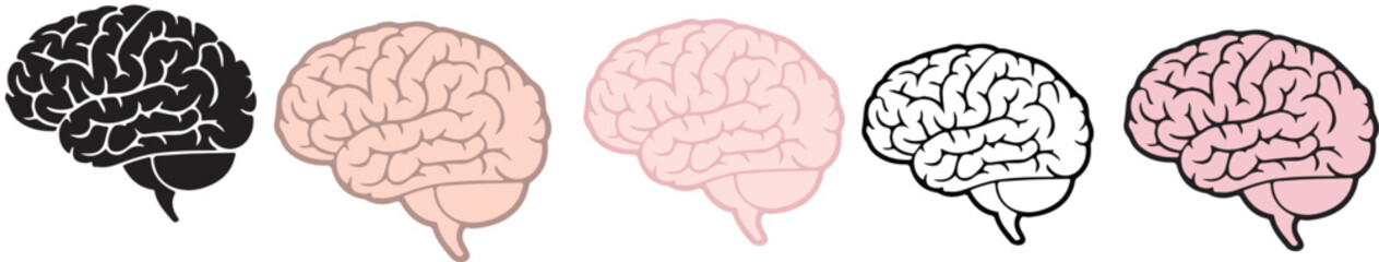 brain icon set human brain, anatomy neuro head icon isolate white brackground