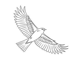 Elegant Bird in Flight Line Art Illustration for Coloring Books and Graphic Design Projects White Background