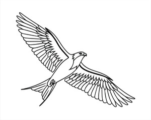 Elegant Black and White Bird Line Art in Full Flight A Symbol of Freedom and Grace