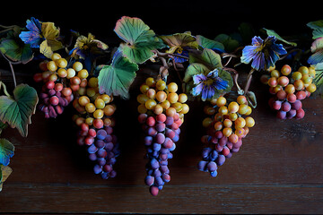 vine, an ripe