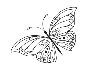 Intricate Butterfly Line Art Design for Coloring Pages and Creative Projects Elegant Insect Illustration Isolated on White Background