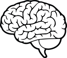 brain icon,human brain, anatomy neuro head icon isolate white brackground