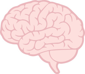 brain icon,pink glowy human brain, anatomy neuro head icon isolate white brackground
