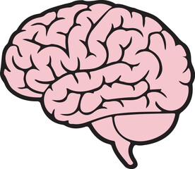 brain icon,pnik human brain, anatomy neuro head icon isolate white brackground