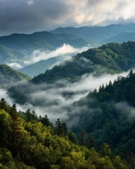 Mountains and Forest Landscape with Clouds and Mist on a Cloudy Day