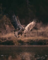 Majestic eagle soars above calm waters, wings outstretched in flight.