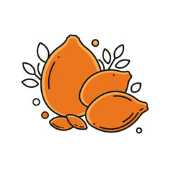 Illustration of several orange almonds with black outlines, accompanied by small leaves and circles, presented on a white background.