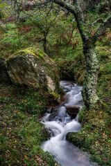 Obraz premium Ethereal long exposure of a stream in Gorbea Natural Park, Bizkaia, Spain, cascading over mossy rocks amidst lush, green woodland