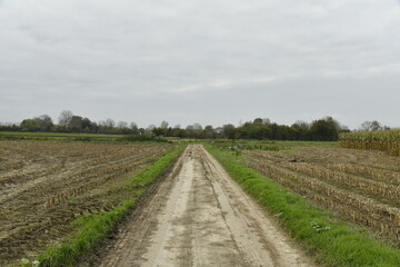 Chemin boueux entre deux terrain labour&eacute;s &agrave; Hellebecq (Silly)