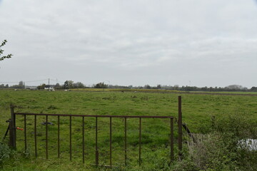 Fototapeta premium Ciel gris et pluie sur de vastes prairies en fin de journée d'automne à Ghislenghien (Ath)