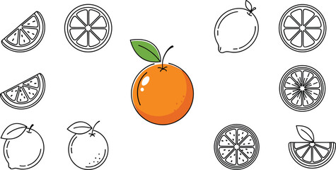 Citrus fruit illustration set—orange whole, slices, and cross-sections in black and color styles for food, design, and educational themes