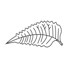 leaf, nature, plant, botanical, vein, outline, line, art, drawing, illustration, leaflet, foliage, line art, line drawing, nature image, botany, graphic, minimalist, monochrome, black-and-white, natur