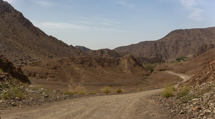 Winding Dirt Track Leading Through a Dry, Barren Wadi Valley