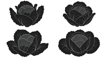 Four stylized black and white illustrations of leafy red cabbage heads