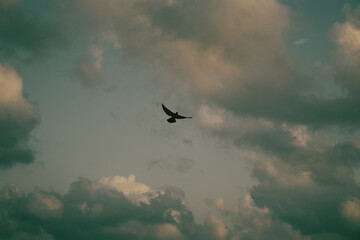 Where peace meets the earth