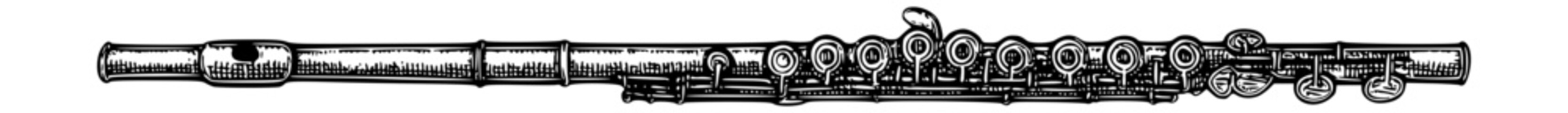 illustration of a classical flute musical instrument with keys and mouthpiece in engraving sketch style for vintage, retro, and educational design use