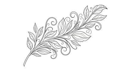 Elegant line art illustration of a decorative floral branch with swirling leaves and vines © Alis