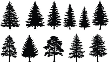 PrintEvergreen trees, pine, spruce, fir, cedar, conifer silhouettes, forest nature design, black vector illustration, woodland decoration, seasonal outdoor environment, landscape