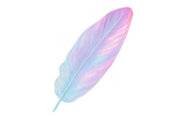 Pastel feather art with iridescent pink and blue hues on transparent