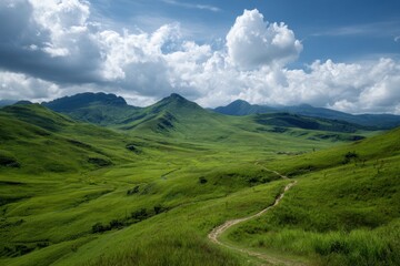 Rolling Green Hills Under a Bright Blue Sky With Fluffy Clouds
