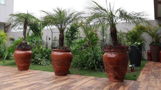 vasos no jardim 