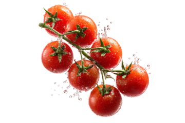 Fresh cherry tomatoes splashing water isolated on transparent background