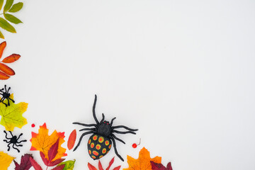 Horizontal autumn banner with a fallen colorful leaves and black spiders on white background with place for text