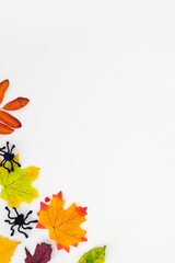 Vertical autumn banner with a fallen colorful leaves and black spiders on white background with place for text