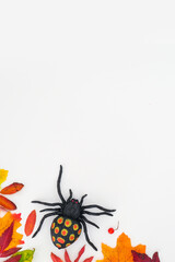 Vertical autumn banner with a fallen colorful leaves and black spider on white background with place for text